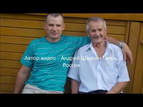 Гон лисы, Баян Шамгина А.Ю.