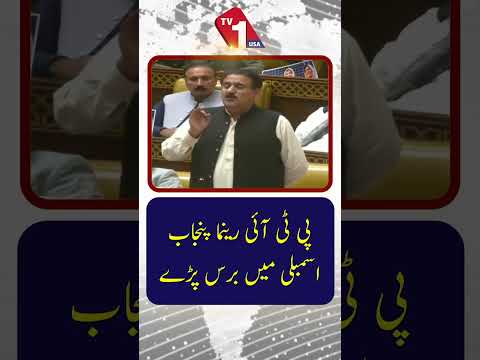 پی ٹی آئی رہنما پنجاب اسمبلی میں آپے سے باہر ہو گئے