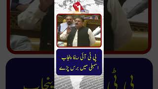 پی ٹی آئی رہنما پنجاب اسمبلی میں آپے سے باہر ہو گئے