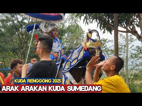 Renggong horse causes traffic jams - Dancing horse video