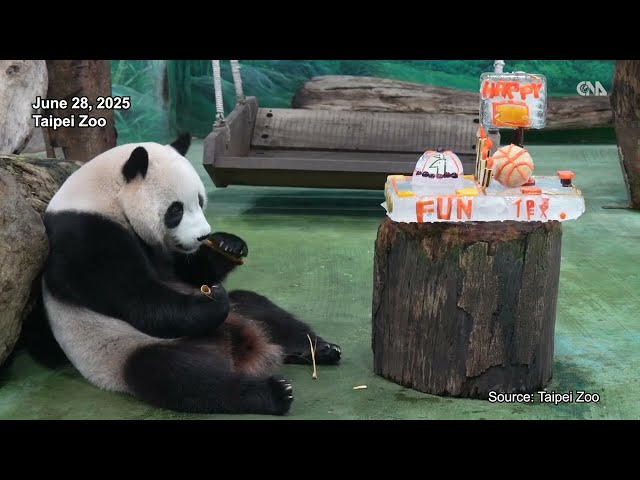 Taipei Zoo reopens after 10-day closure, celebrates panda birthday