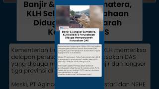 KLH Periksa 8 Perusahaan terkait Kerusakan DAS, Diduga Perparah Banjir & Longsor di Sumatera