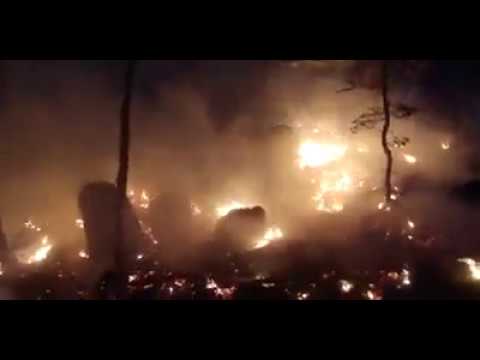 Incendiu de padure in Buces Vulcan