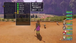 実況無しの「ドラゴンクエストXI」配信－最速無縁プレイ－レベル34