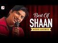 Best Of Shaan - Ultimate Audio Jukebox | Aye Manya | Jab Se Tere Naina | Where's the Party Tonight
