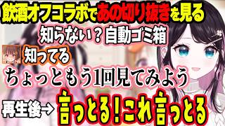 なずぴにチューしたがるうひwww＆飲酒＋22時過ぎて覚醒した2人のオフコラボ雑談【ぶいすぽ切り抜き/花芽なずな】