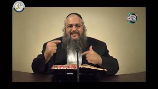 חוק לישראל - פרשת חיי שרה - ליל שישי | הרב שלמה לוינשטיין (ארגון קול הלשון) - התמונה מוצגת ישירות מתוך אתר האינטרנט יוטיוב. זכויות היוצרים בתמונה שייכות ליוצרה. קישור קרדיט למקור התוכן נמצא בתוך דף הסרטון