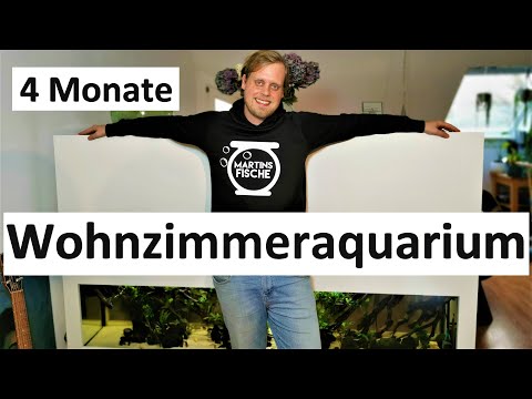 Wohnzimmeraquarium - 4 MONATE nach der Umgestaltung