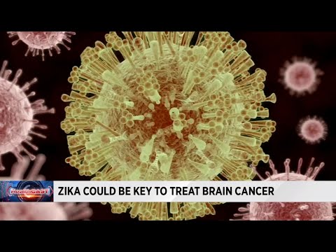 Can Zika virus help fight brain cancer?