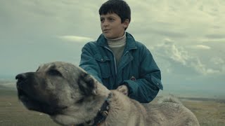 映画『シーヴァス 王子さまになりたかった少年と負け犬だった闘犬の物語』予告編