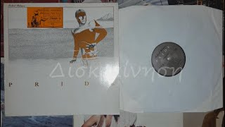 ROBERT PALMER - THE SILVER GUN