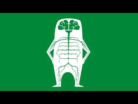 Urography Prostata Wie Prostata-Massage zu Hause Video zu tun