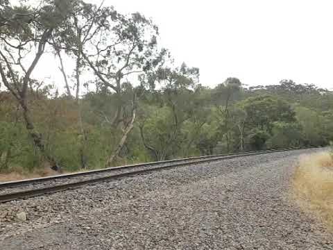 3PM4 NR31/NR30/NR15/NR58 39w Foster's Curve, Belair SA 7:32 31/1/20