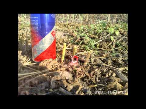 Král - zemědělské služby profi sklizeň sóji, Král harvesting soybeans
