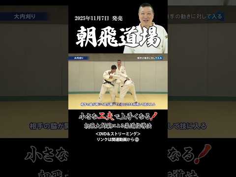 柔道【朝飛道場】朝飛大師範による指導法「手技・足技・腰技」DVD/ストリーミング #judo #柔道 #judotraining