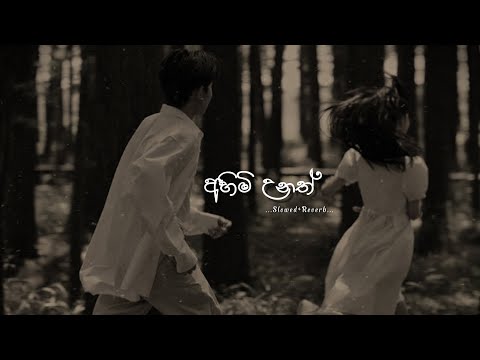 Ahimi unath obata thawath | අහිමි උනත් 😌🎧 (slowed + reverb) 2025 | Lyrics Video