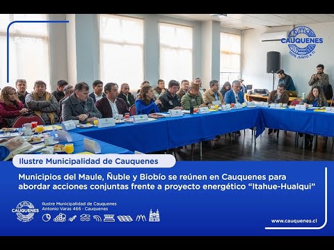 Municipios y ciudadanía del Maule, Ñuble y Biobío se unen frente a proyecto eléctrico Itahue–Hualqui