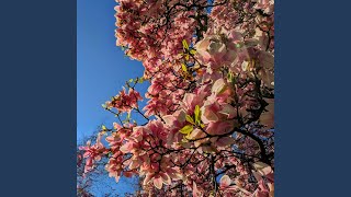 Download lagu Du trägst Liebe mp3 Download lagu Du trägst Liebe mp3