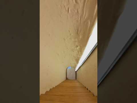 Pets Mini House Tour - Into the Mouse Hole - 2-year DIY Mini Home for Pets