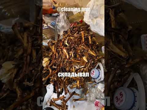 Не верю своим глазам: что стало с квартирой за 1.5 года