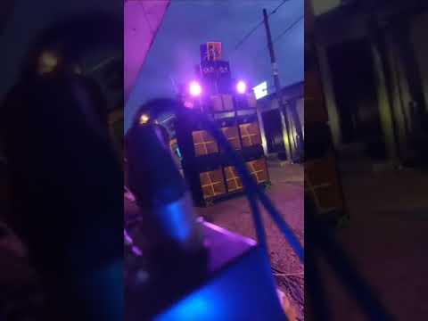 LOS YEYOS - Morro the animal.🇯🇲