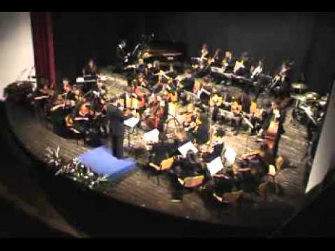Orchestra "I Giovani Accademici"