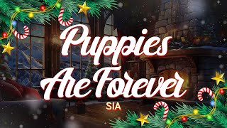 Sia - Puppies Are Forever (Lyrics)