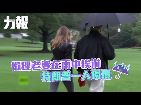 特朗普一人獨攬大傘 特朗普一人獨攬大傘