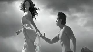 pássaro ferido Roberto Carlos