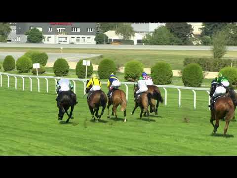 CH, 13. 9. 2020, 1. dostih - CENA SPOLEČNOSTI SIGNALBAU a. s. (EBF)