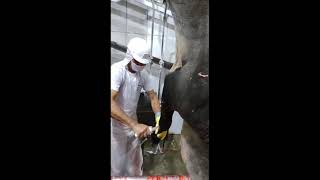 Frigorífico frigoangus, como funciona!