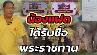 น้องแฝดข้างน้อยต่างเพศคู่แรกได้รับการโปรดเกล้าพระราชทานชื่อแล้ว@pranprichannel