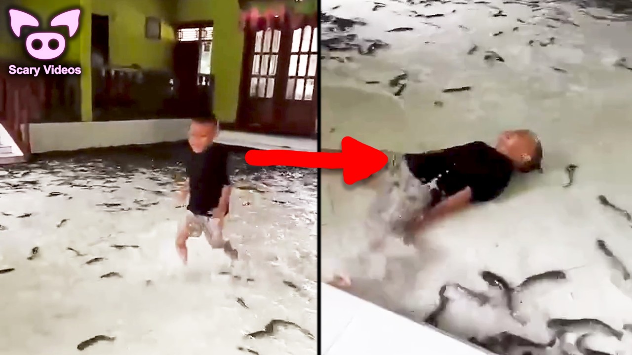 SCARY VIDEOS That’ll Make You Pee