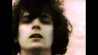 Vegetable Man Pink Floyd