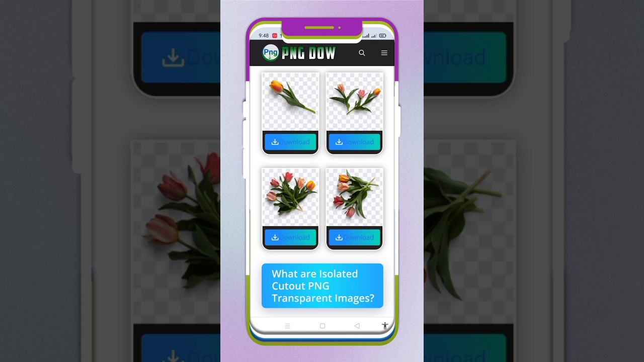 Isolated Cutout PNG Transparent Images Free Download