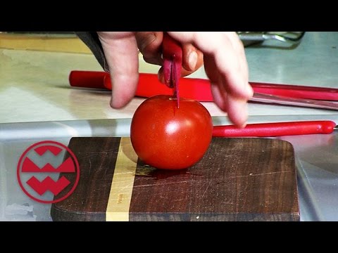 Household Accidents - World of Wonders