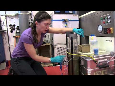 Biogeochemistry and sedimentology in the Benguela upwelling system