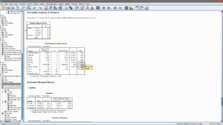 SPSS - General Linear Model (with interaction)