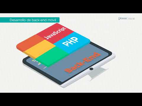 01 Desarrollador de aplicaciones móviles