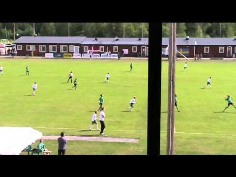 panaxia SAIF Hammarby