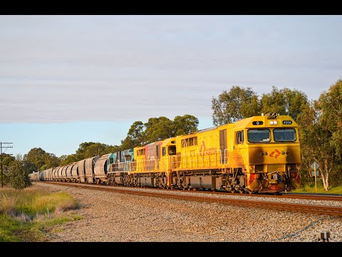 Freight and Passenger trains around Perth