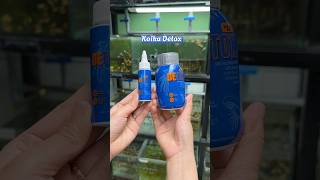 Download lagu Koika Detox - sản phẩm xử lý nước mới hiệu quả #guppy #cabaymau #koika #caitiemthuysinh #xuhuong mp3