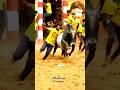 Jallikattu 2025 Jallikattu Tamil Song Music Tamilsong Love Bull Tamilmusic Jallikattu Folksong