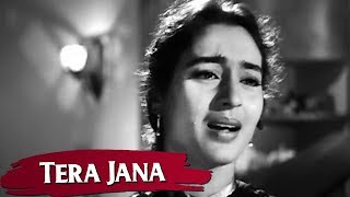 Download lagu तेरा जाना दिल | Raj Kapoor Nutan | Anari (1959) | Lata Mangeshkar | Evergreen Hindi Songs mp3 Download lagu तेरा जाना दिल | Raj Kapoor Nutan | Anari (1959) | Lata Mangeshkar | Evergreen Hindi Songs mp3