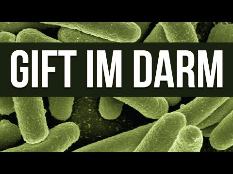 Gift im Darm - 100 Krankheiten, eine Lösung