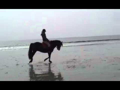 Qoet qui bosse sur la plage