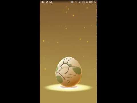 Pokemon Go - Primeiro ovo de 2km 😭