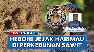 Tapak Harimau Bikin Geger Warga Kabupaten Inhu, BKSDA Riau Ungkap Fakta: Itu Tapak Tapir