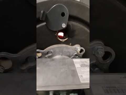 gelöst! Vissmann Vitola 200, Fehler am Brenner, Flamme geht aus Fehlercode d1