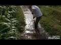 Farmer Work Hard At Farm